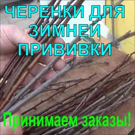 Садко Интернет Магазин Каталог 2022 Весна Садко Интернет Магазин Каталог 2022 Весна