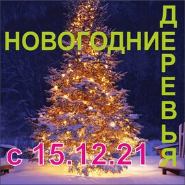 Садко Интернет Магазин Каталог 2022 Весна Садко Интернет Магазин Каталог 2022 Весна